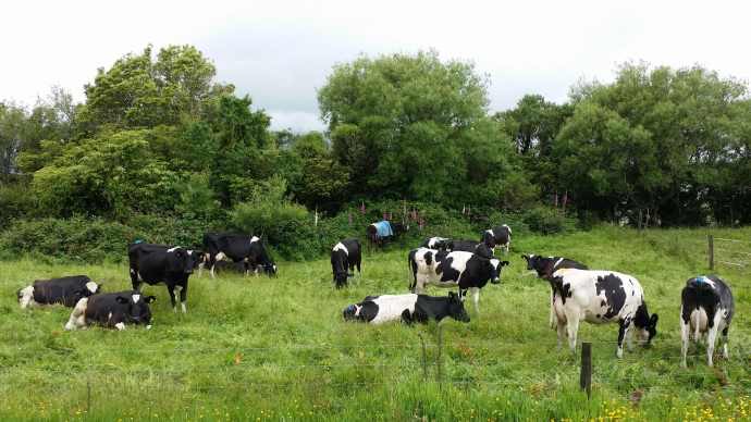 三峡口城堡山 01