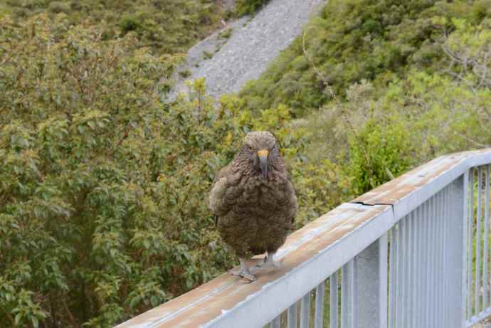 三峡口城堡山 10