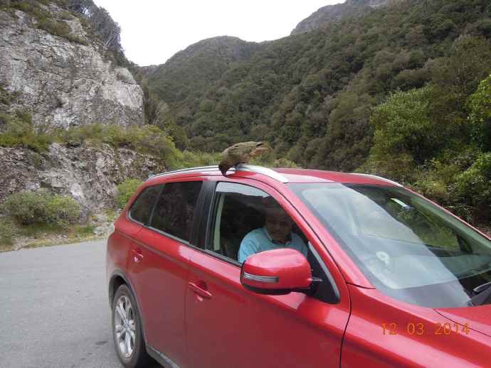 三峡口城堡山 11