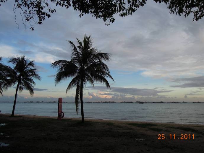 傍晚的东海岸  03