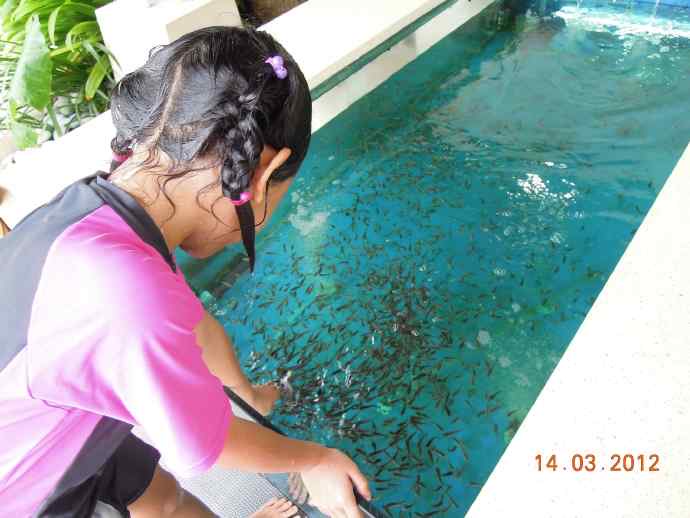 巴厘岛day2-21.jpeg 巴厘岛day2 21