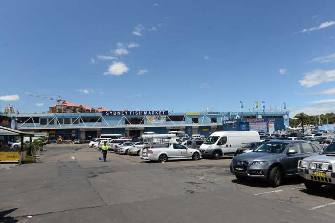 悉尼鱼市 02