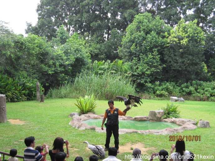 飞禽公园 14