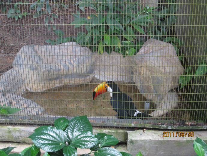 鸟公园 01