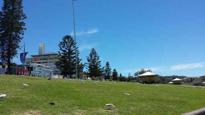 BondiBeach 10