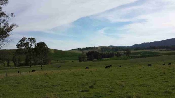 HunterValley 01