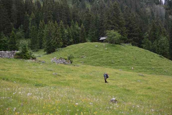 Interlaken-15.jpeg Interlaken 15