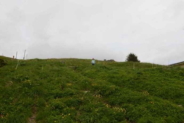 Interlaken-25.jpeg Interlaken 25