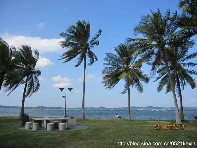 Pasir Ris Park 02