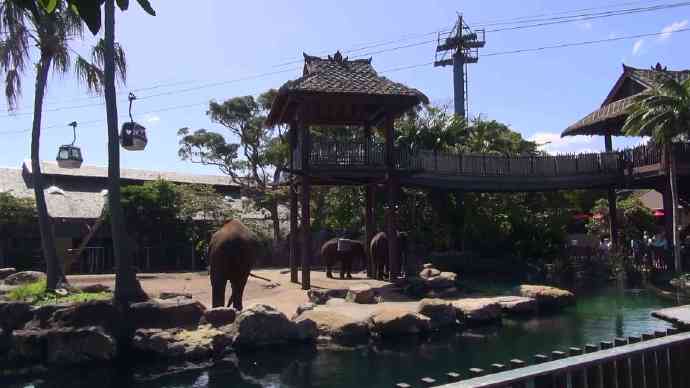 SydneyZoo 16
