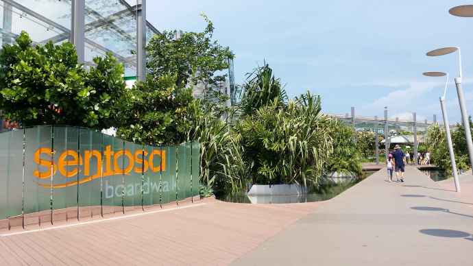 2014 1 11母亲节 04