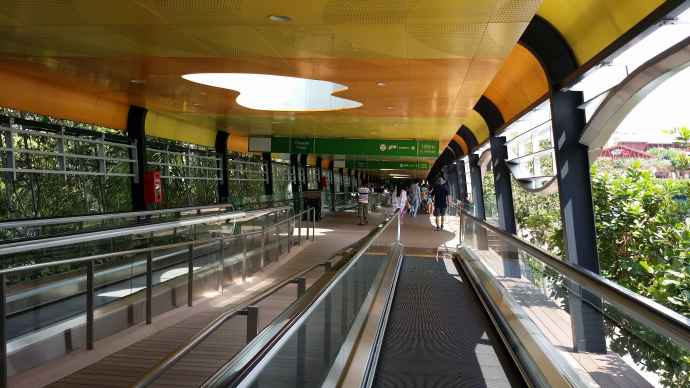 2014 1 11母亲节 06