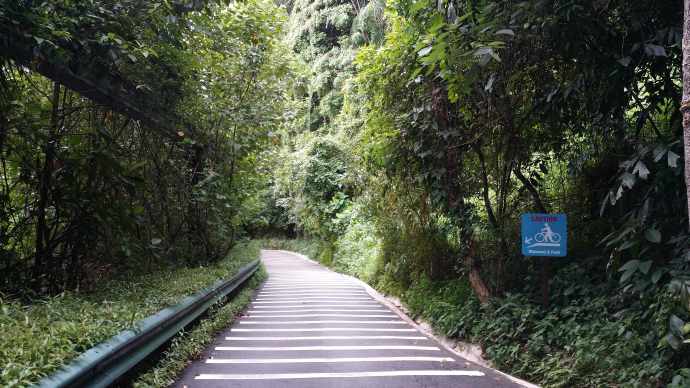 2014 1 11母亲节 10