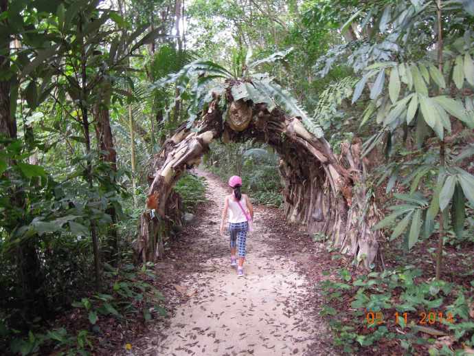 2014 1 11母亲节 11