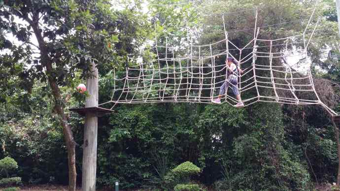 2014 1 11母亲节 17