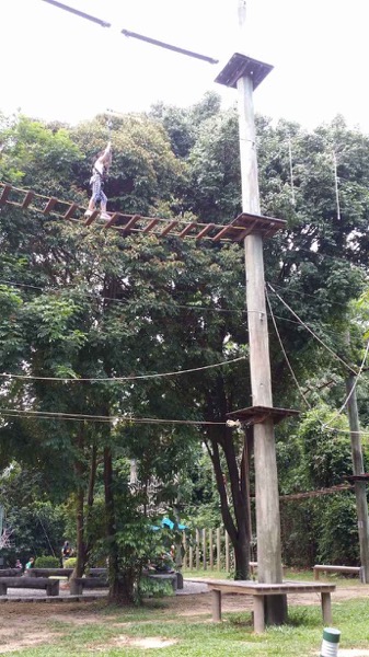 2014 1 11母亲节 23