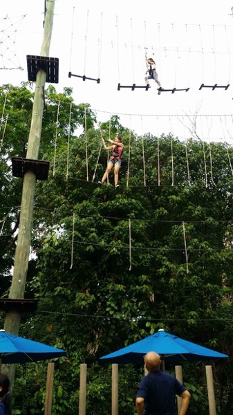 2014 1 11母亲节 26