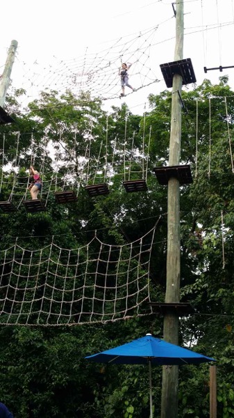 2014 1 11母亲节 27